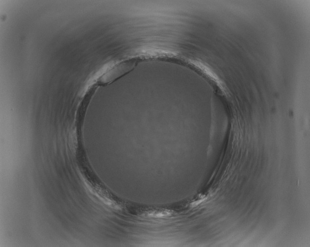 X0000078300488200611101137