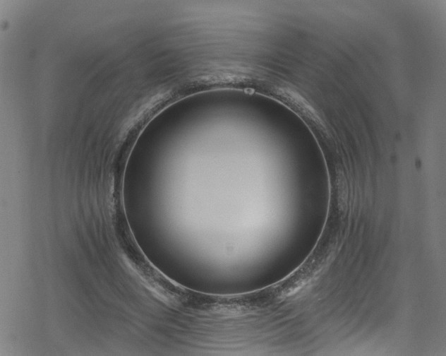 X0000078300490200611101137