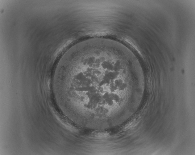 X0000078300491200611101137