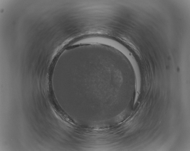 X0000078300492200611101137