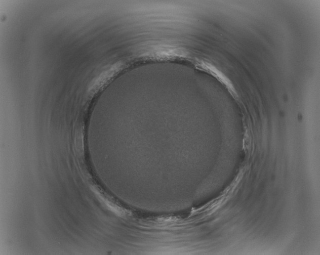 X0000078300493200611101137