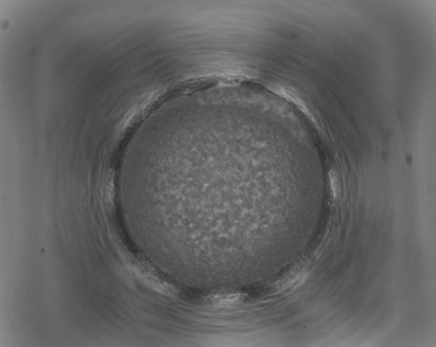 X0000078300495200611101137