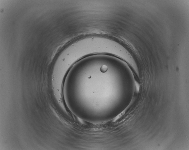 X0000078300496200611101137