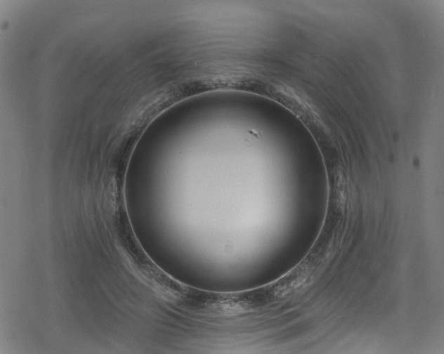 X0000078300498200611101137