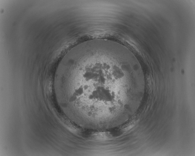 X0000078300499200611101137