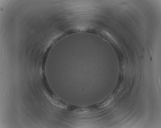 X0000078300500200611101137