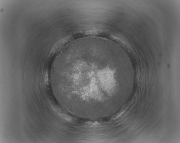 X0000078300502200611101137