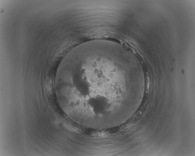 X0000078300503200611101137