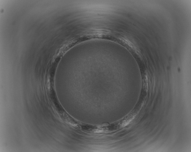 X0000078300504200611101137