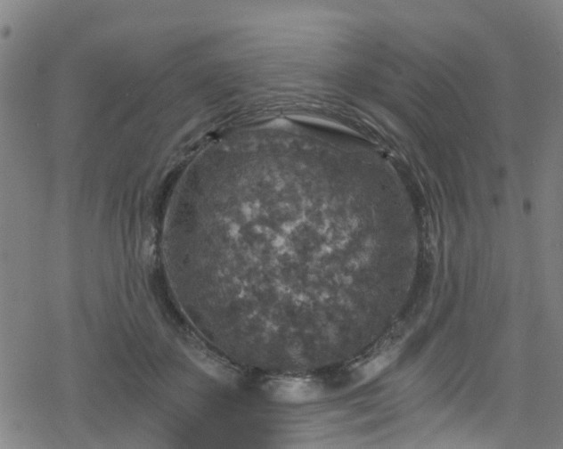 X0000078300507200611101137