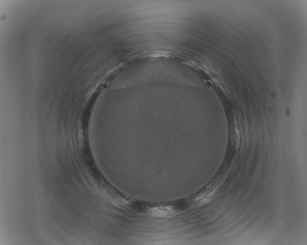 X0000078300508200611101137