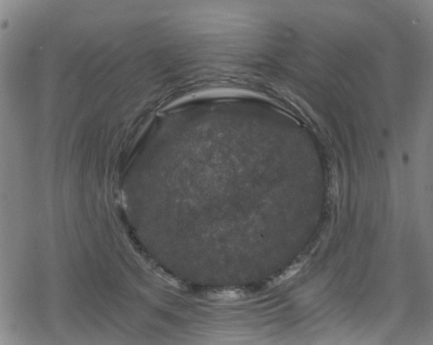 X0000078300513200611101137