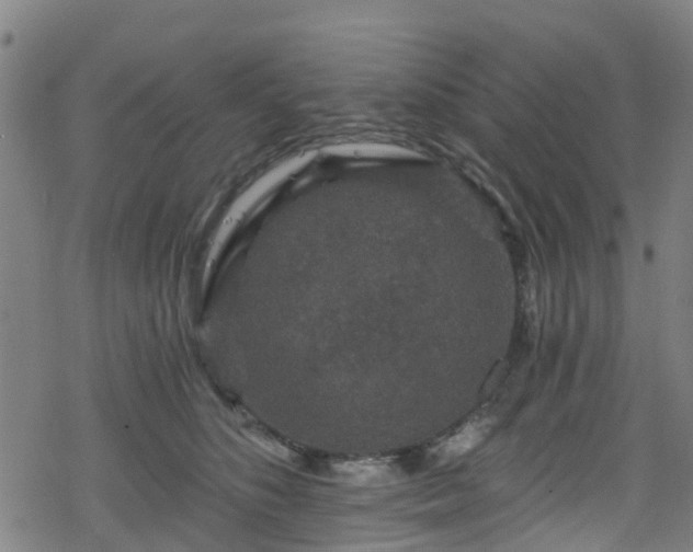 X0000078300516200611101137