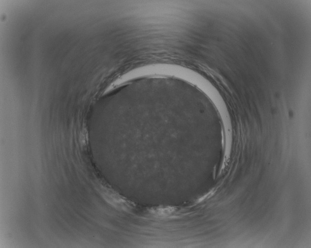 X0000078300517200611101137