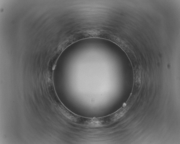 X0000078300518200611101137