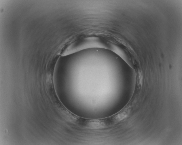 X0000078300521200611101137