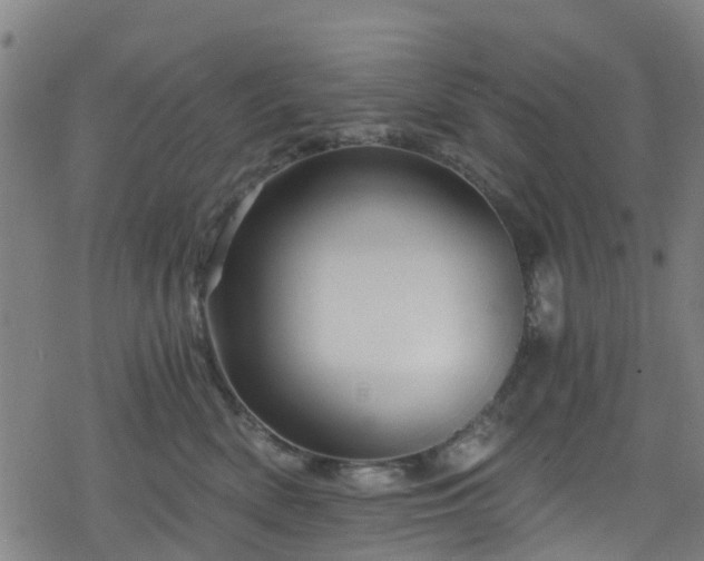 X0000078300522200611101137