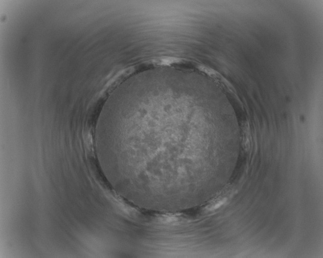 X0000078300523200611101137