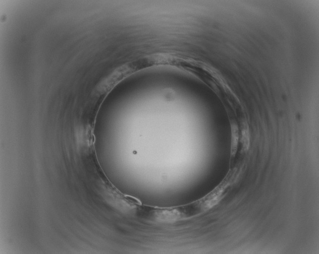 X0000078300525200611101137