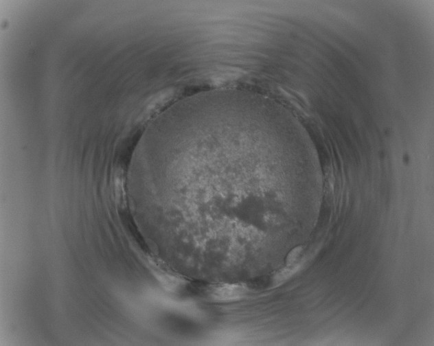 X0000078300527200611101137