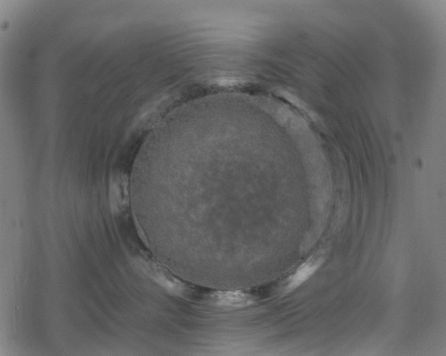 X0000078300528200611101137