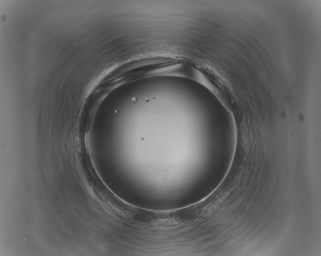 X0000078300536200611101136