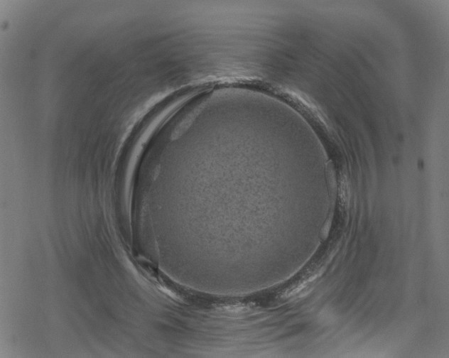 X0000078300540200611101136