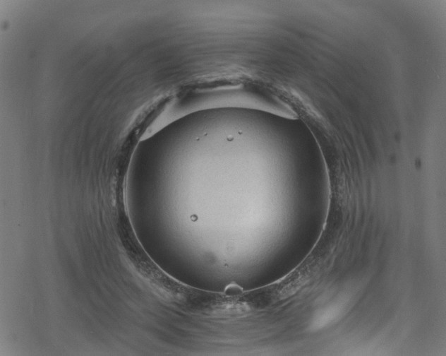 X0000078300543200611101136