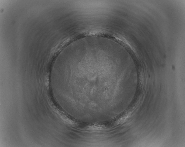 X0000078300545200611101136