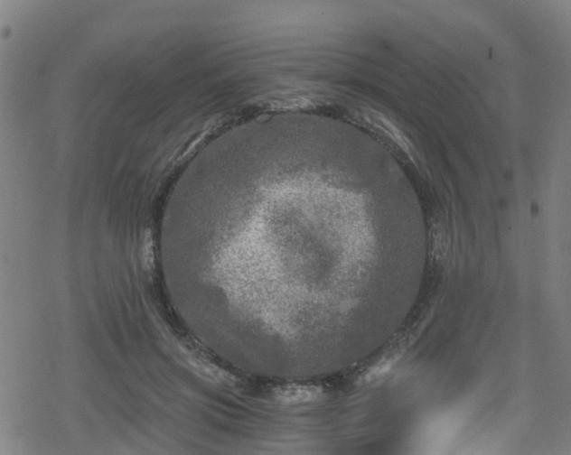 X0000078300549200611101136