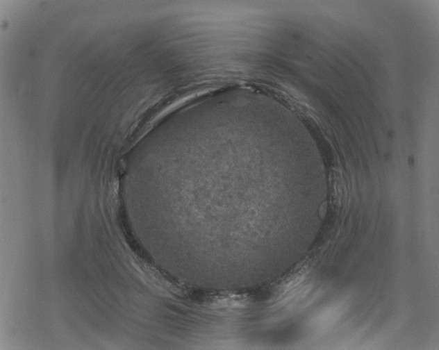 X0000078300550200611101136