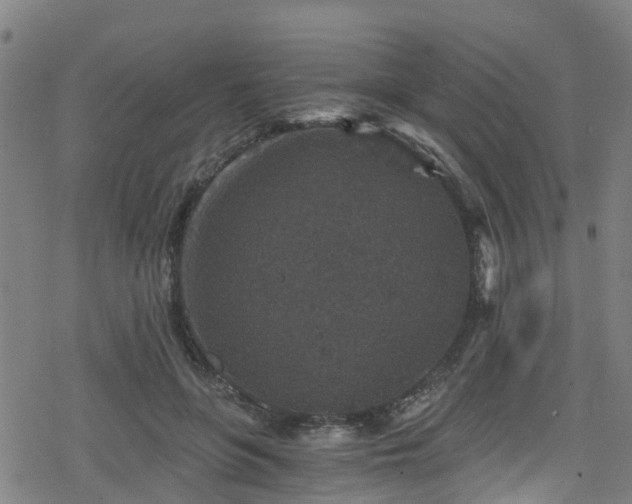 X0000078300551200611101136