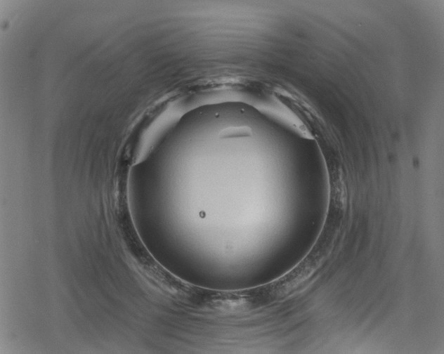 X0000078300552200611101136