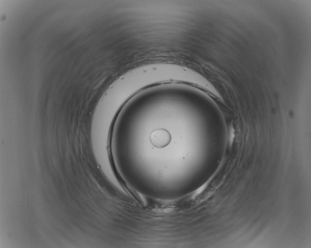 X0000078300560200611101136