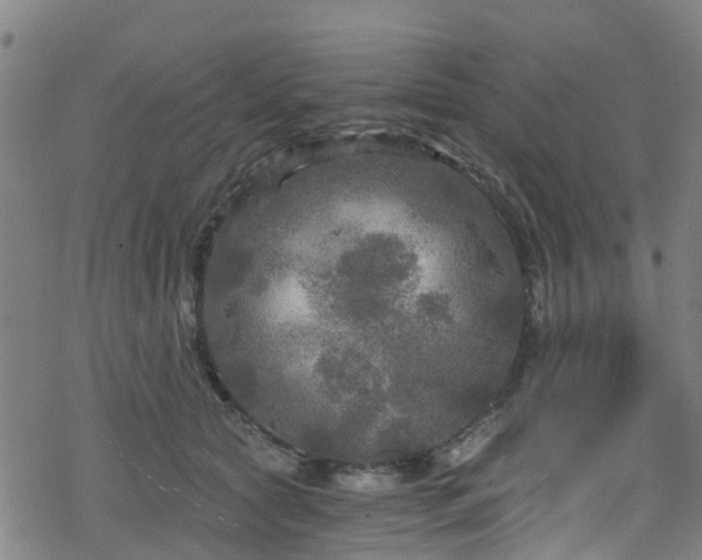 X0000078300561200611101136