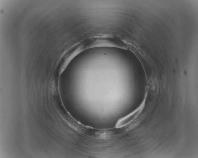 X0000078300564200611101136