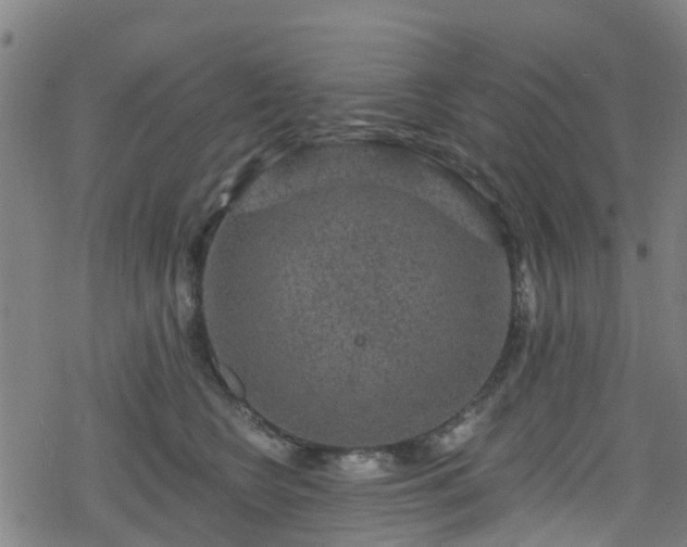 X0000078300566200611101136