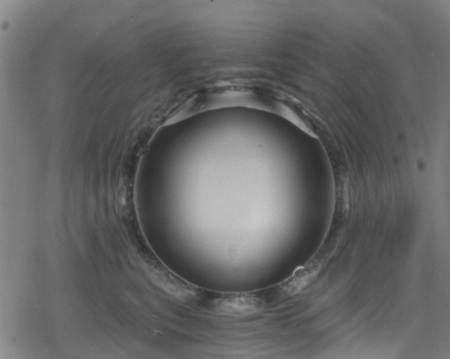 X0000078300567200611101136