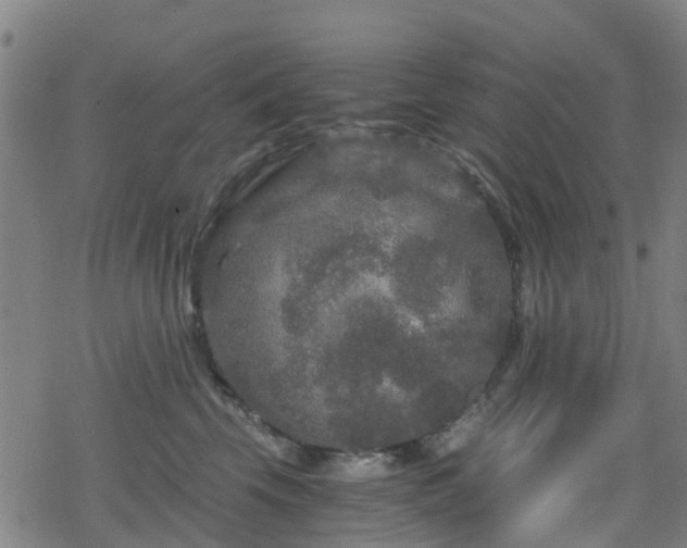 X0000078300569200611101136