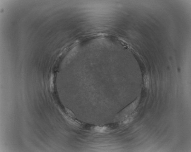 X0000078300570200611101136