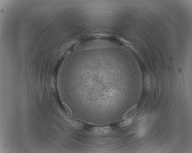 X0000078300571200611101136