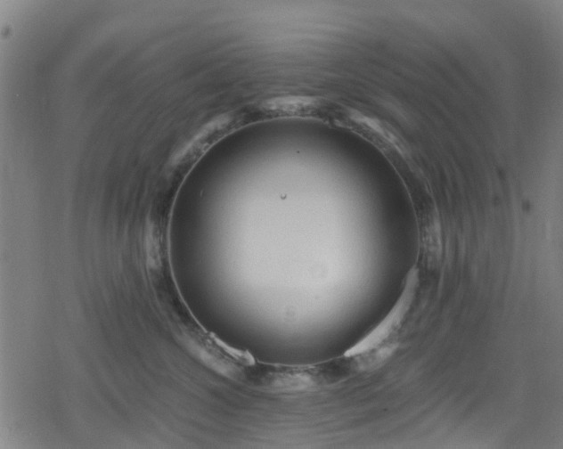 X0000078300572200611101136