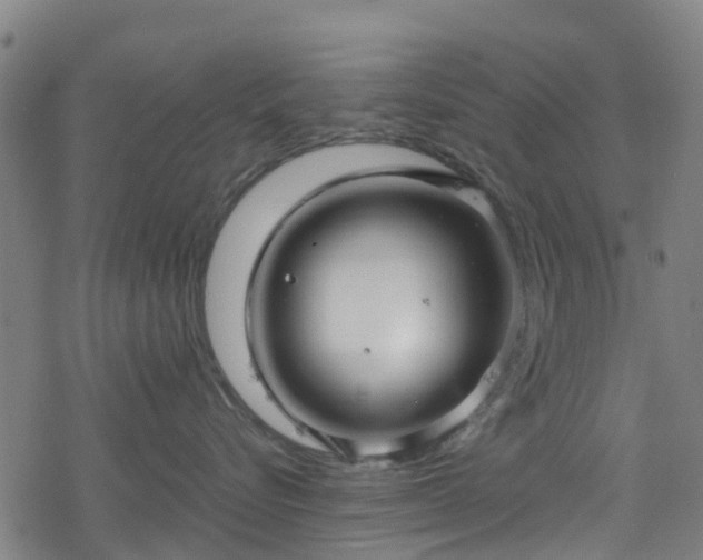 X0000078300576200611101137