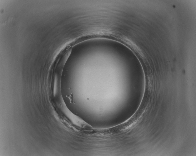 X0000078300580200611101136