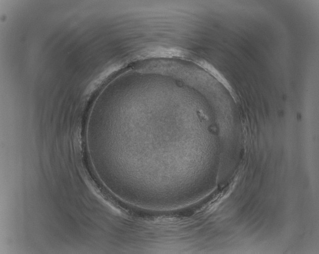 X0000078300581200611101136