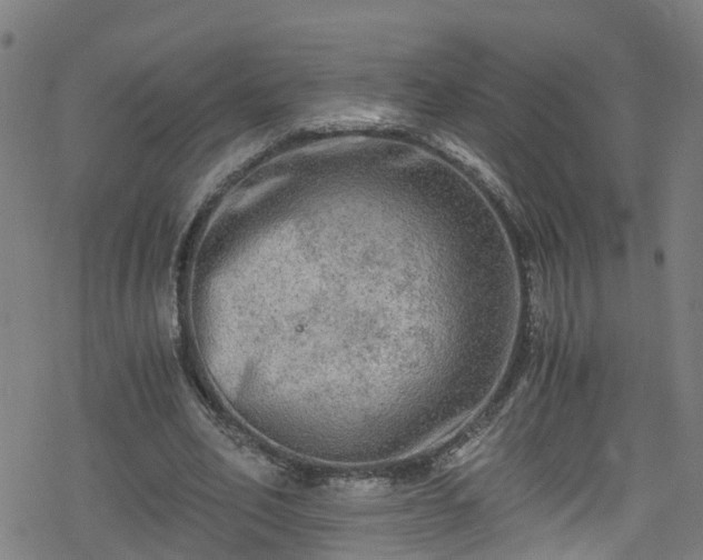 X0000078300582200611101136