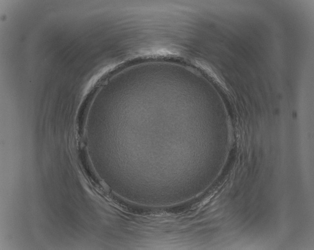 X0000078300583200611101136