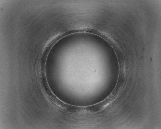 X0000078300587200611101136