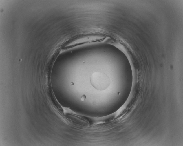 X0000078300589200611101136