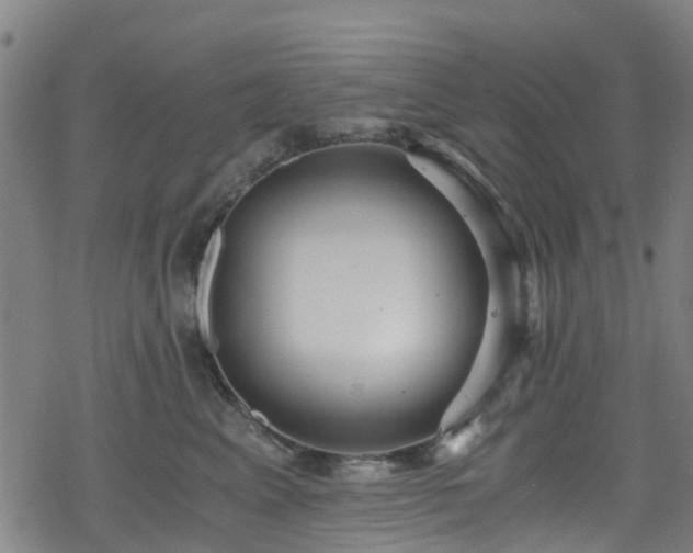 X0000078300617200611101135
